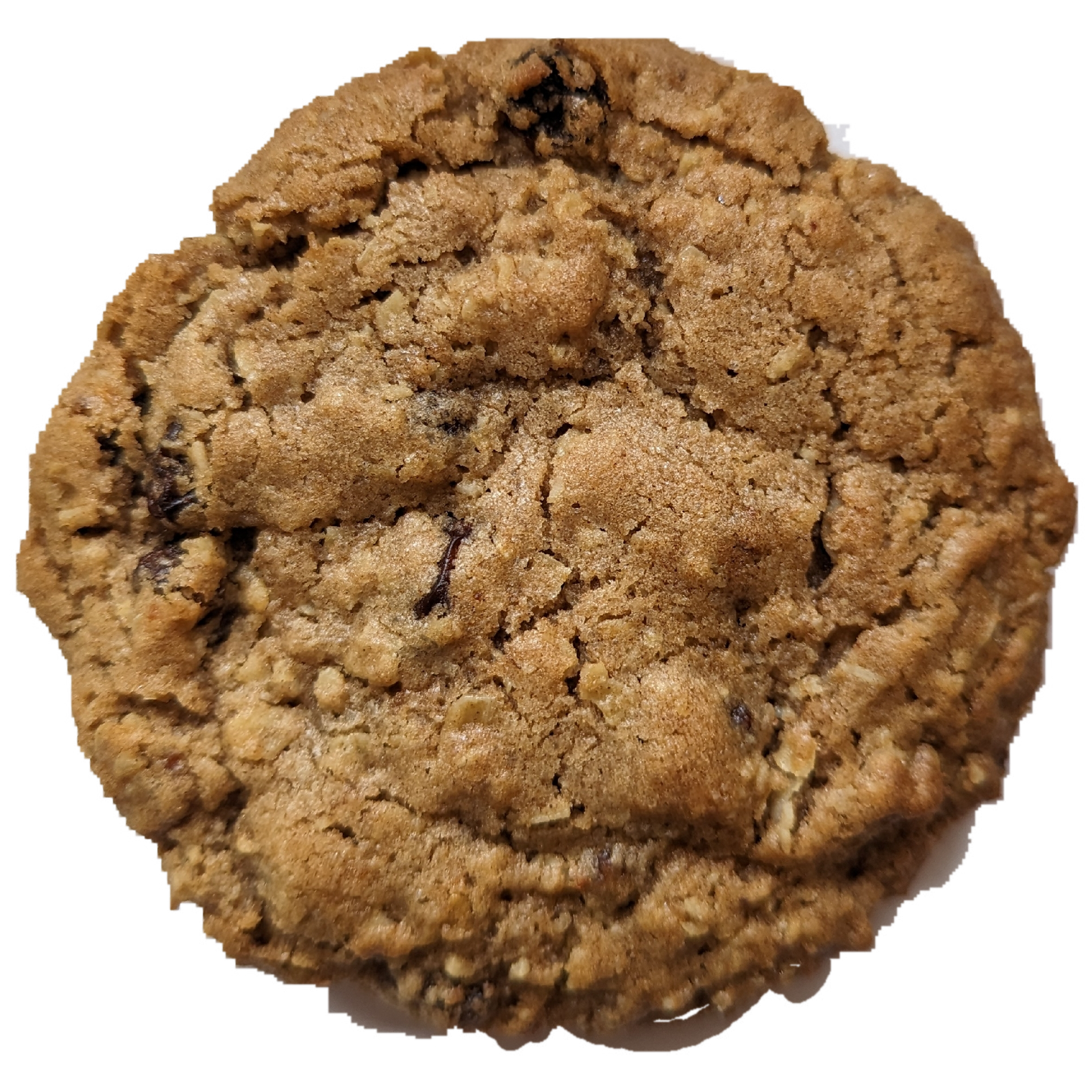 Oatmeal Raisin Cookie