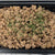 Everything Bagel Ground Turkey- Per Pound, GF, DF, K