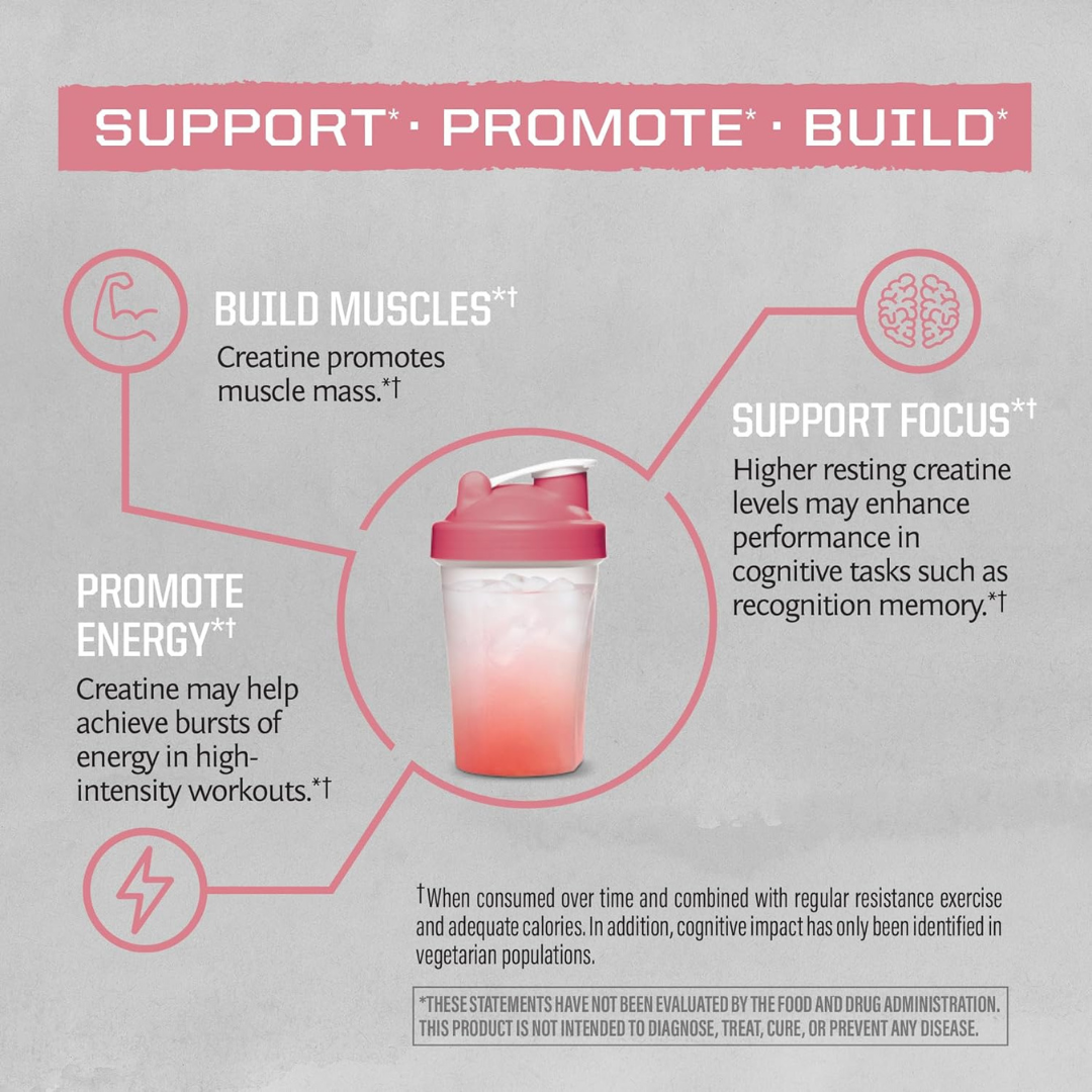 X- TRA Raspberry Active Creatine Drink Powder- Vegan, Soy-Free