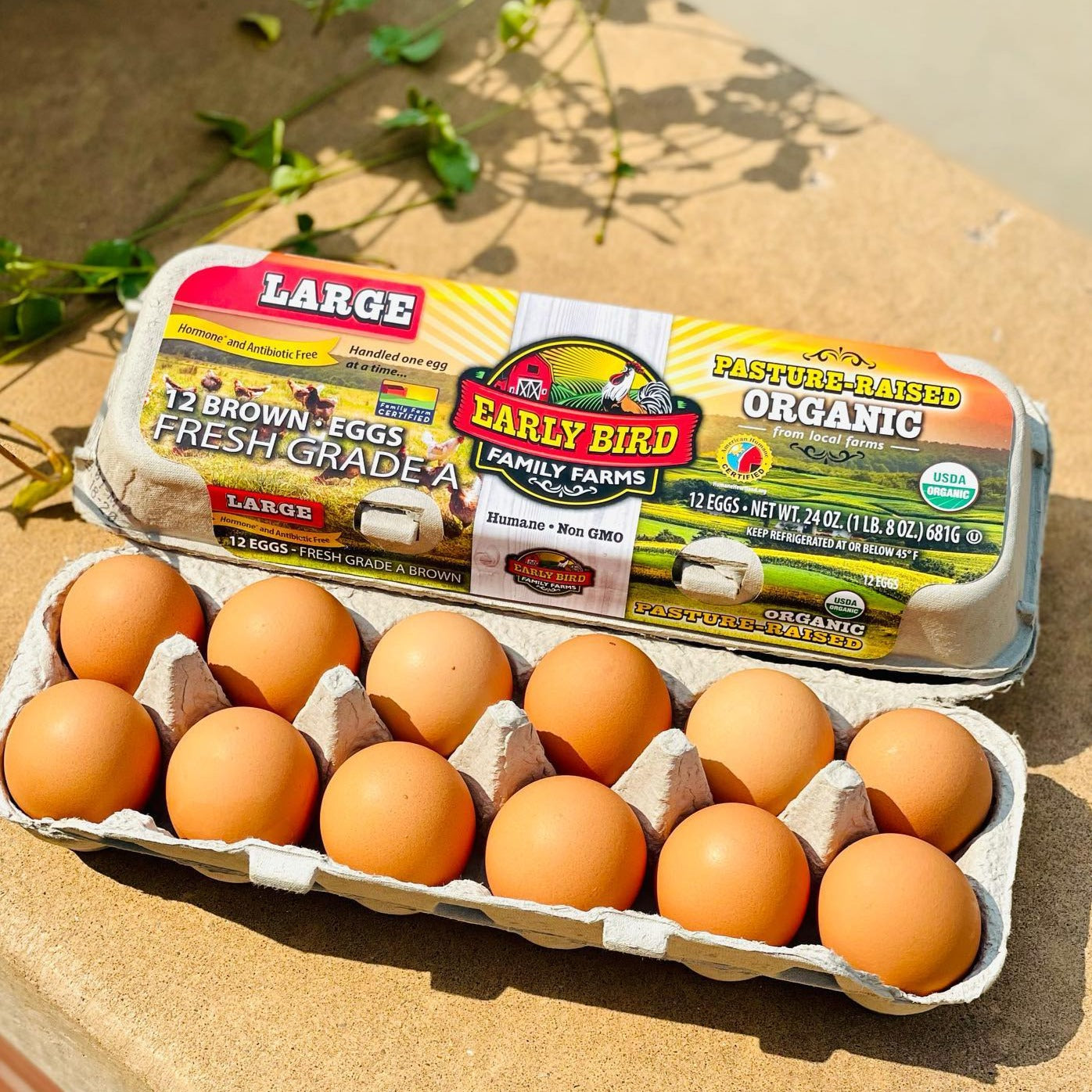 One Dozen Free Range Organic Eggs